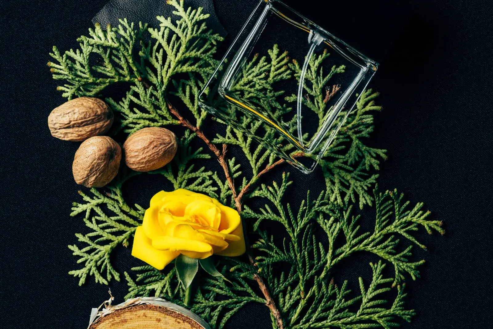 Parfümös üveg sötét alapon, tűlevelű ágakkal és erdei részletekkel.
