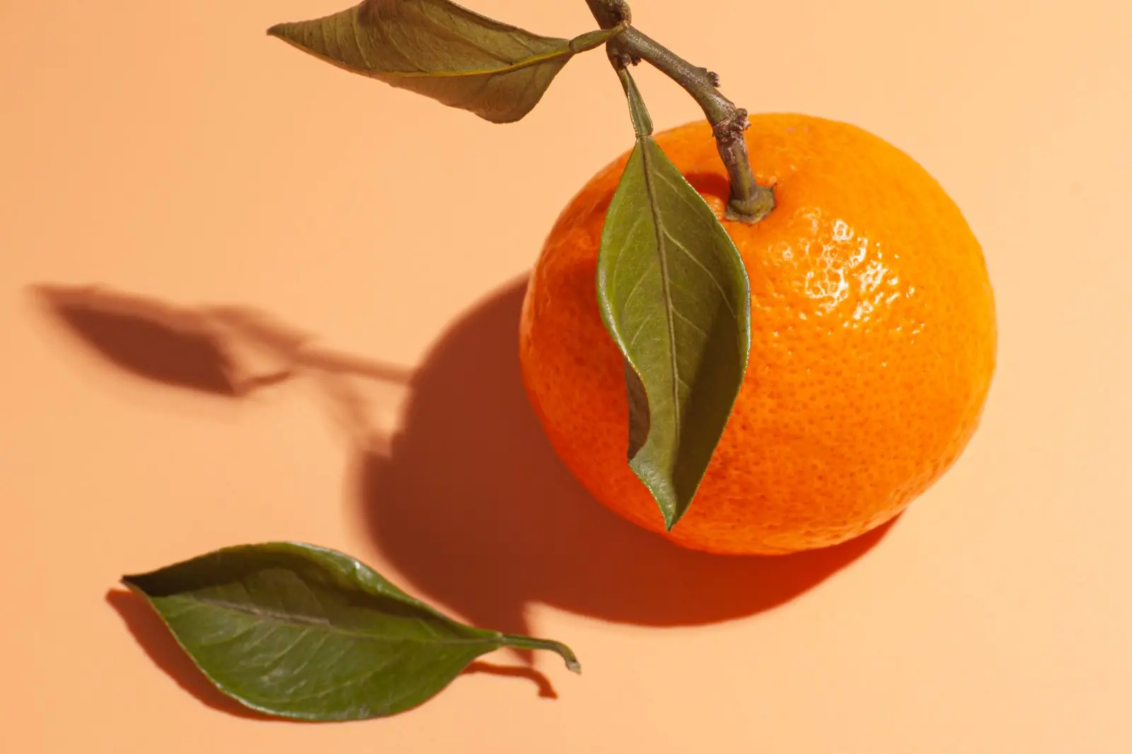 Mandarin – egyedi hangulatfotó a parfümválogatáshoz.