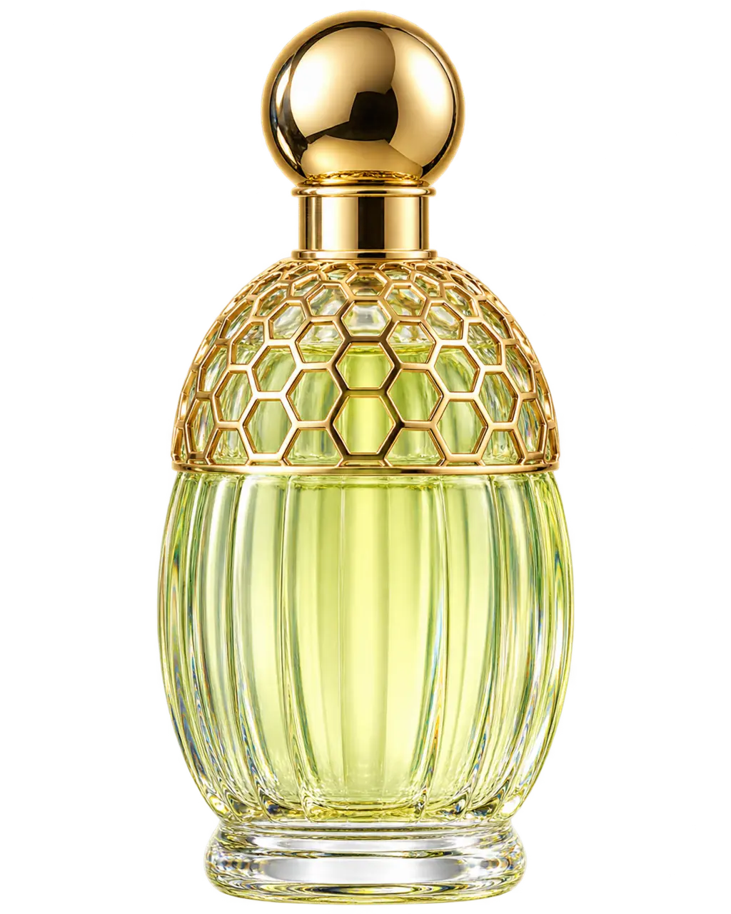 Guerlain Aqua Allegoria Nerolia Vetiver